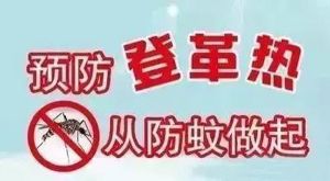 登革热已进入流行季，吴兴区疾控中心发布防疫提醒
