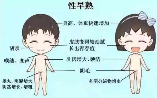 男孩生长发育的过程图图片