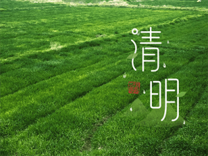 清明养生｜春光明媚，这样养出好状态